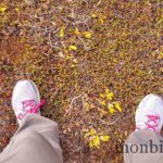 islande-roadtrip-tour-de-ile-1