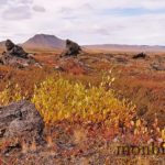 islande-roadtrip-tour-de-ile-11