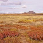 islande-roadtrip-tour-de-ile-12