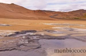 Roadtrip in Iceland : des fjords de l’est à Akureyri