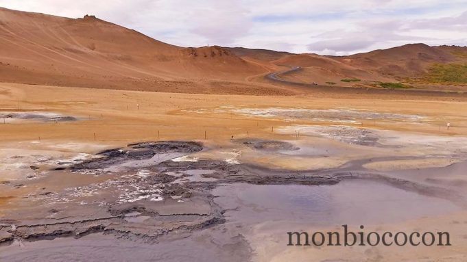 Roadtrip in Iceland : des fjords de l’est à Akureyri