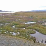 islande-roadtrip-tour-de-ile-6