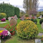 pays-basque-photos