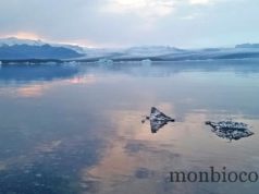 Roadtrip in Iceland : Fjadrargljufur canyon, Skaftafell, Fjallsárlón, Breiðárlón, Jökulsárlón