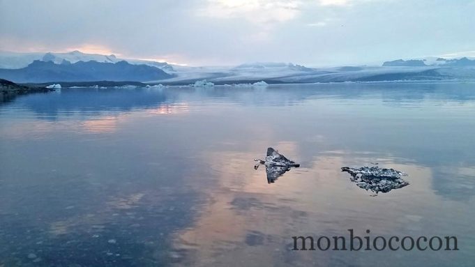 Roadtrip in Iceland : Fjadrargljufur canyon, Skaftafell, Fjallsárlón, Breiðárlón, Jökulsárlón