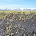 roadtrip-iceland-photos-travel-amazing-6