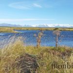 roadtrip-iceland-photos-travel-amazing-7