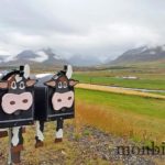 roadtrip-voyage-islande-tour-ile-0