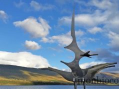 Roadtrip in Iceland : Aldeyjarfoss et aux alentours d’Akureyri