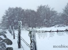 Zoom spécial forme & santé en hiver #1