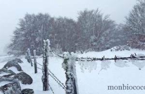 Zoom spécial forme & santé en hiver #1