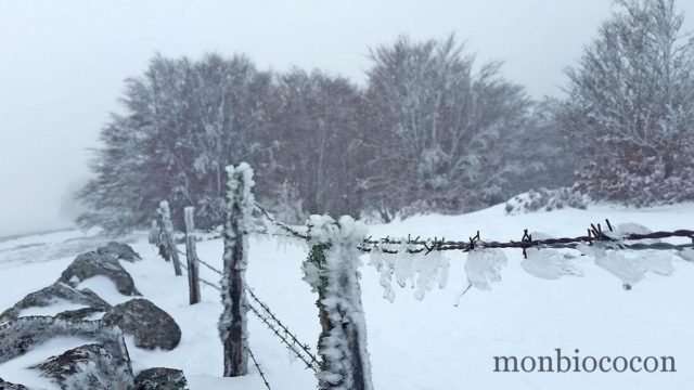 Zoom spécial forme & santé en hiver #1