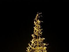 Jolis moments de décembre