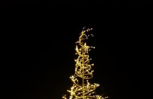 Jolis moments de décembre