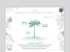 Une carte de voeux virtuelle envoyée = 1 arbre planté