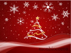 Joyeux Noel à toutes et tous !