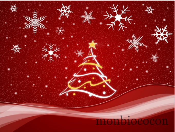 Joyeux Noel à toutes et tous !