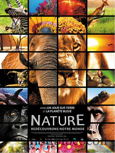 Nature, le film avec des animaux dedans