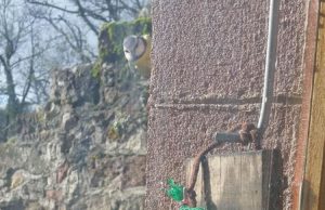 Welcome to my life #7