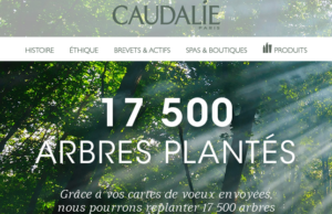 Ces cartes de voeux qui permettent de planter des arbres au Brésil