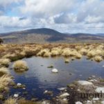 randonnee-wicklow