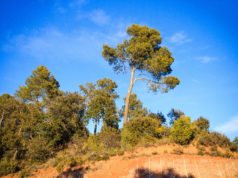 La Catalogne en hiver, c’est fantastique ! #voyage