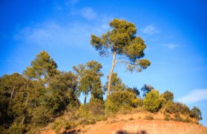 La Catalogne en hiver, c’est fantastique ! #voyage