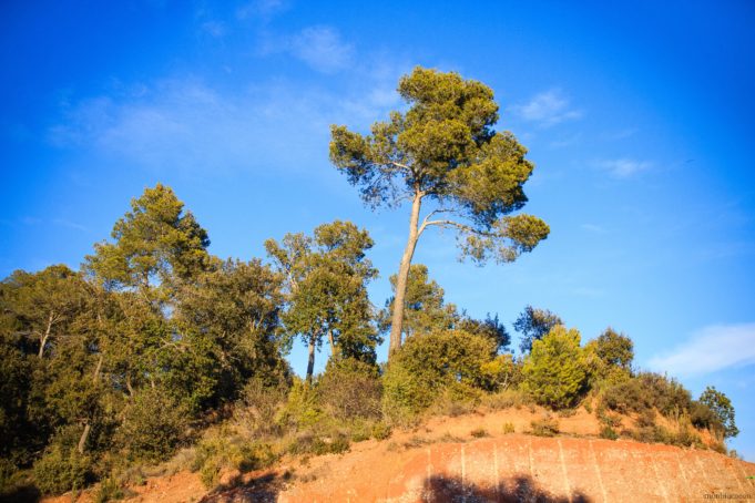 La Catalogne en hiver, c’est fantastique ! #voyage