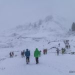 IMG_9531