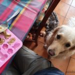recette-friandise-gateau-thon-chien