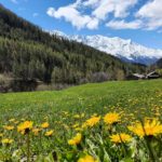 vacances-alpes-en-mai-1