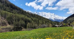 Vacances en mai dans les Alpes