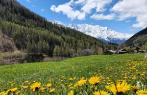 Vacances en mai dans les Alpes