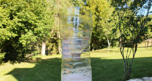 Comment faire un piège à guêpes ? et frelons