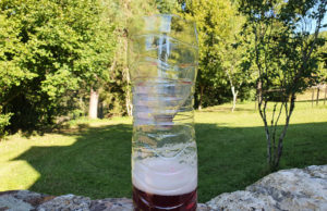 Comment faire un piège à guêpes ? et frelons