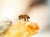 Photo de Meggyn Pomerleau sur Unsplash