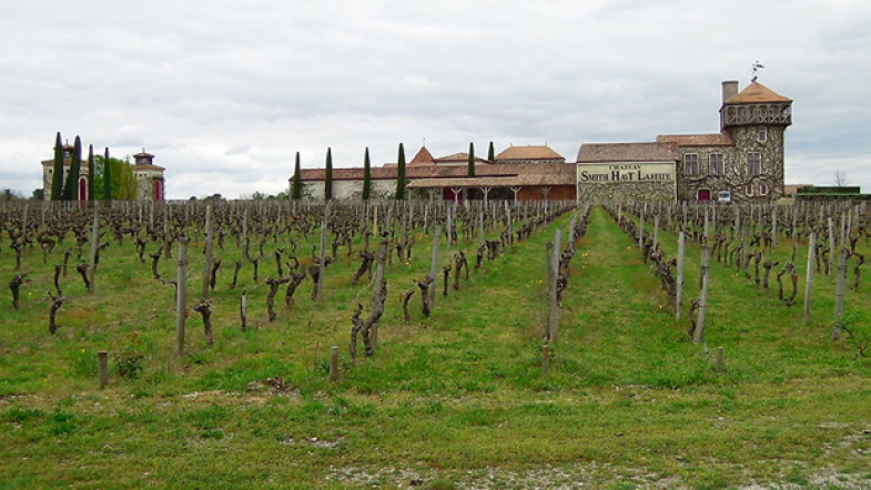 Oeno tourisme en Aquitaine: Château Smith Haut Lafitte et ses vignes de Pessac Léognan