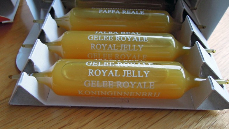 1 ampoule par jour pour renforcer mes défenses immunitaires: gelée royale et cie