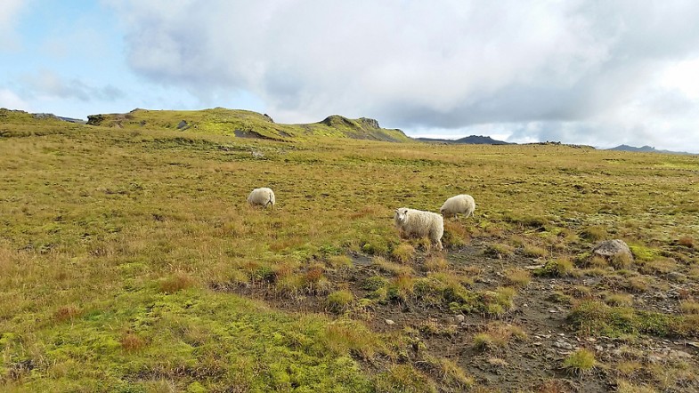 Islande : ces petites choses que tu ignores 2/2
