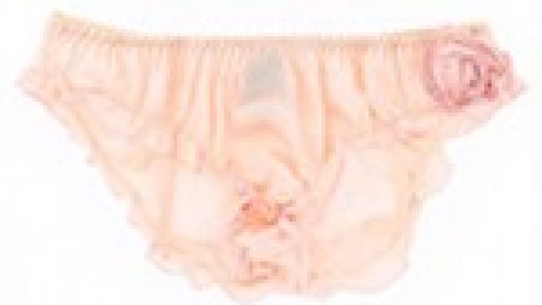 Diantre ma petite culotte a disparu !