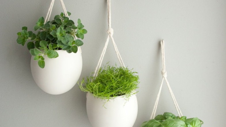 Et si on suspendait les pots de fleurs au mur? Gain de place, déco et utile, pas mal…