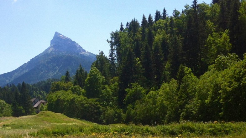 #3 Vacances dans les Alpes : en Chartreuse