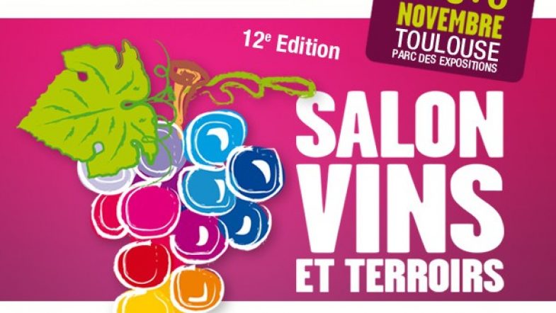 Qui aime le vin me suive ! 12 ème édition Vins et Terroirs à Toulouse
