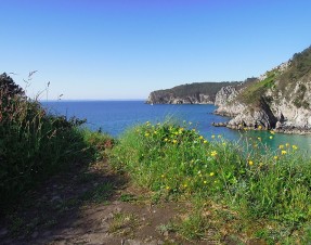 #2 Tourisme en Bretagne : Randonnée au Cap de la Chèvre