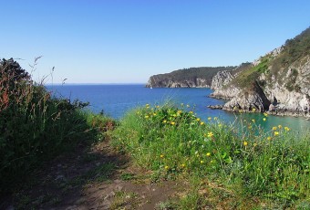 #2 Tourisme en Bretagne : Randonnée au Cap de la Chèvre