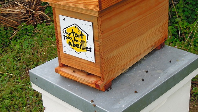 Un toit pour les abeilles, c’est important
